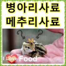 초이사료 병아리사료 1kg 소분판매전문 종합비타민 폐사방지 비타민 천연미네랄 무기질 다량함유 [명품사료], 9번 좁쌀(메조) 200g