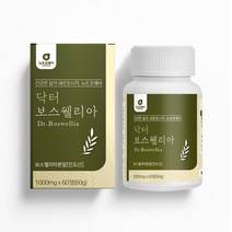 닥터 보스웰리아 분말 정 보스웰릭산 AKBA KBA 초록입홍합 우슬 버드나무껍질 관절 건강 영양제 60정, 1000mgx60정