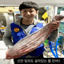 신안 임자도 민어회 (1접시~8kg), 4kg, 회접시