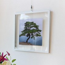 투명액자38CmX38Cm 건강과성공의소나무.꾸밈, 골드브라운