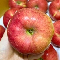청송 부사 사과, 못난이 5kg, 1개