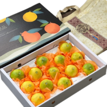 [산지직송] 제주 황금향 귤 가정용 선물용, 선물용 5kg (대)