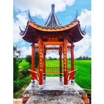 야외바베큐장 테라스 전망대 야외 안뜰 빌라 정원 방부제 목조 주택 단단한 나무 고대 건물 4 코너 육각형 탄화 파빌리온, [05] 밤색 쌀 이중 육각 정자