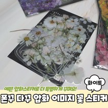 폰꾸 다꾸 압화 이미지 꽃 스티커 화이트