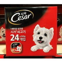 코스트코 시저 애견사료 소고기 100gx24캔, 1개