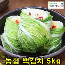 국산 백김치 5kg 농협 배추 백김치