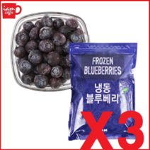 냉동 블루베리 미국산 1kg (1kg X 3봉) X4R