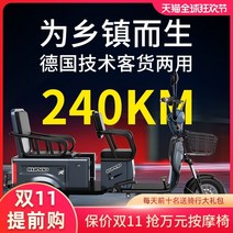 성인세발자전거 성인용세발자전거 삼륜자전거 어르신 노인 자전거전기 세발 가정용 소형 더블 여성 미니 성인 스쿠터 새로운 전송 어린이 배터리 자동차, 48V, 네이키드 카 800w