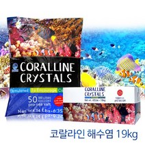 영아쿠아 코랄라인 해수염 19kg