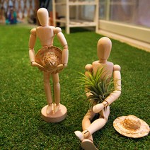 이오난사 나무관절인형 틸란드시아 행잉플랜트, 1.이오난사+목각인형(14cm)+밀집모자