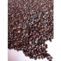 경추베개 템퍼 오리지널 꼬북 거북목 배게 메밀 껍질 대량 斤 프리미엄 등급 일회 메밀, 10슈퍼 스위트 홍화조개조개 (선물 불가 고온 살