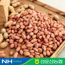 토종원 햇 생알땅콩 1kg 전북고창 선운산농협