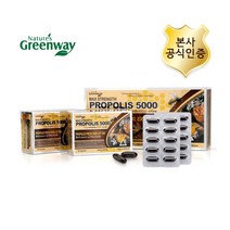 호주 프로폴리스 5000 아연C 액상 호주산 원액 120캡슐, 120정, 1개