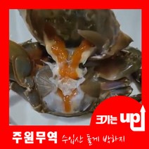 주원무역 신선한 수입산 냉동 돌게 박하지 10KG, (소)10kg 190~200미 전후