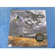 마카롱 희귀앨범 LP판 레코드판 턴테이블 O 버전 미개봉 Rattle That Lock David Gilmour LP