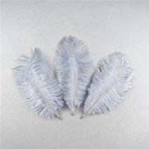 공예용깃털 펜 먼지털이 10 개 자연 염색 솜털 부드러운 타조 공예 DIY 바느질 보석 만들기 드레스 웨딩 장, 09 Gery feathers