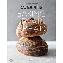 천연발효 베이킹:실전 활용도 100퍼센트, 비앤씨월드, 홍상기
