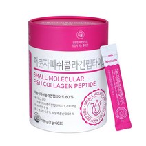 휴럼 저분자피쉬콜라겐 펩타이드 2g 60포 코스트코