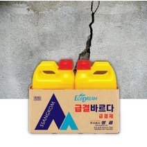 급결제 급결방수액 시멘트급결제 시멘트액체 반지하 타일 화장실 바닥 방수제 방수자제 방수재, 급결바르다2L 1개