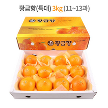 제주 황금향 선물세트 3kg (특대과) 11-13과 / 하우스 노지 고당도 귤 감귤 밀감 레드향 천혜향 카라향 청귤 수라향 신비향 가정용 추석 명절 설 감사 은사 선물 조생 타이벡, 5kg (왕특대) 12-18과