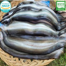 무항생제 국내산100% 민물장어 1kg[당일손질]