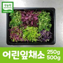 사회적기업 청보 유기농 어린잎채소 500g, 1박스