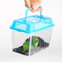 코코넷 달팽이키우기 곤충채집통 미니어항 채집통 포충망 사마귀키우기, 코코넷_클린곤충채집통