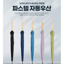 [샤이니몰_생활] 파스텔 자동우산 튼튼한 자동운산, 곡자(그린)