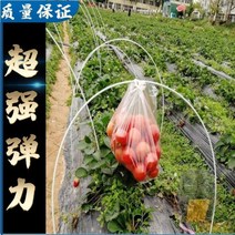 조립식비닐하우스 조립식온실 미니온실 . 가정용 온실 해골 꽃 창고 지원 강관 빌라 작은 프레임 보호소 캐노피 분리형 풀 세트, 두께 3 mm 1.2 m 20스팬 0.5 0.8