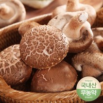 무농약 생표고버섯 파지 8kg/10kg 전남 함평 산지직배송, 10kg, 1개