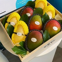 기타 [프리미엄]망고혼합선물세트 3호 4kg내외(애플망고4+노란망고4), 단품