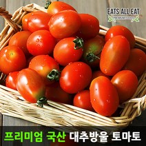 이츠올릿 대추 방울 토마토 1.5kg 못난이 단 찰 토마토, 찰 토마토 5kg (2번)
