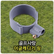 [인기100] 이글캐디기 링 실내연습장 골프공 볼관리 필드용품 _ 59856EA