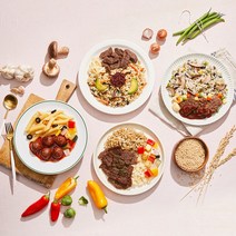 고기대신 다이어트 식물성 도시락 골라담기, 식물성 찰보리 불고기 덮밥