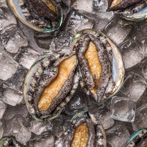 산지직송 진도전복 진도 활전복 산소 포장, 1kg (30-40미) 꼬마전복