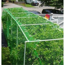 뱀망 고라니망 노루망 해태망 분진망 낙엽방지망 중고 단독주택현관문 능형망 꿩망 참새망 구갑망 고라니퇴치기 닭망 새망 멧돼지퇴치 새그물망 양계망 비둘기망 정원 녹색 짠 메쉬 보호, 2mx5m