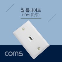 [RΘA] Coms HDMI (F F) 월 플레이트 Wall Plate 알루미늄 재질 1Port 벽면 매립 설치 네트워크 HDMI시공 장치 가정HDMI 장착 건물 사무HDMI 인테리어 ▷_β5243Ea, 옵션무[#@$], 《β본상품》