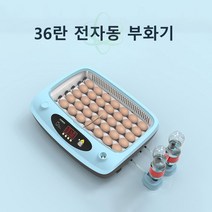 조류 부화기 디지털 병아리 달걀 자동 부화기 6~36란, 36란
