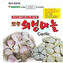 2023년도 마늘 통마늘 한지형 의성마늘 햇마늘 +10톨 덤, 개, 의성씨마늘 소품 3kg 150-200개