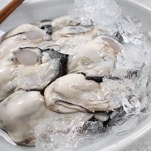 경상도수산 산지직송 당일경매 싱싱한 통영 제철 생굴1kg, 1개