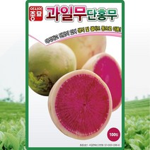 이삭 Asia 과일무(100립) 단홍무 단맛 생식 샐러드, 1개