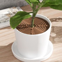 화분덮개 커버 고양이 아기 흙날림 흙만짐 방지, 장연다육 중