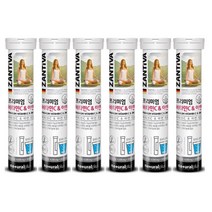 비타민C 아연 발포 독일 잔티바 타먹는 항산화 면역 에너지 활력 20정 6개