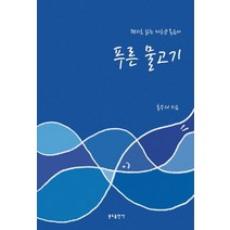 푸른 물고기:편지로 읽는 마르코 복음서, 분도출판사, 9788941920106, 홍승의 저