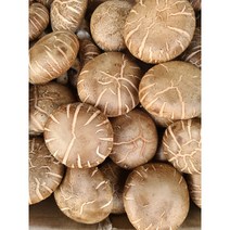 #가락시장 나물이네# 표고버섯 400g내외(특)/오후2시이전주문당일출고99%/주말 공휴일제외, 400g