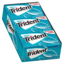 Trident 트라이던트 레이어스 윈터그린 껌 26.6g x 12팩 슈가 프리 Wintergreen