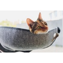 고양이 창문해먹 초강력흡착판 숨숨집