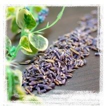 퓨어솝 라벤더 드라이허브 분말, 라벤더 드라이허브10g