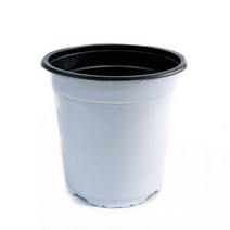 [짱짱마켓] 이색포트(흰색) 비닐포트 화분 모종 분갈이흙 플라스틱화분