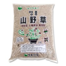 담쟁이가든 영풍 산야초 10리터 야생초 다육 분갈이, 1개, 10l